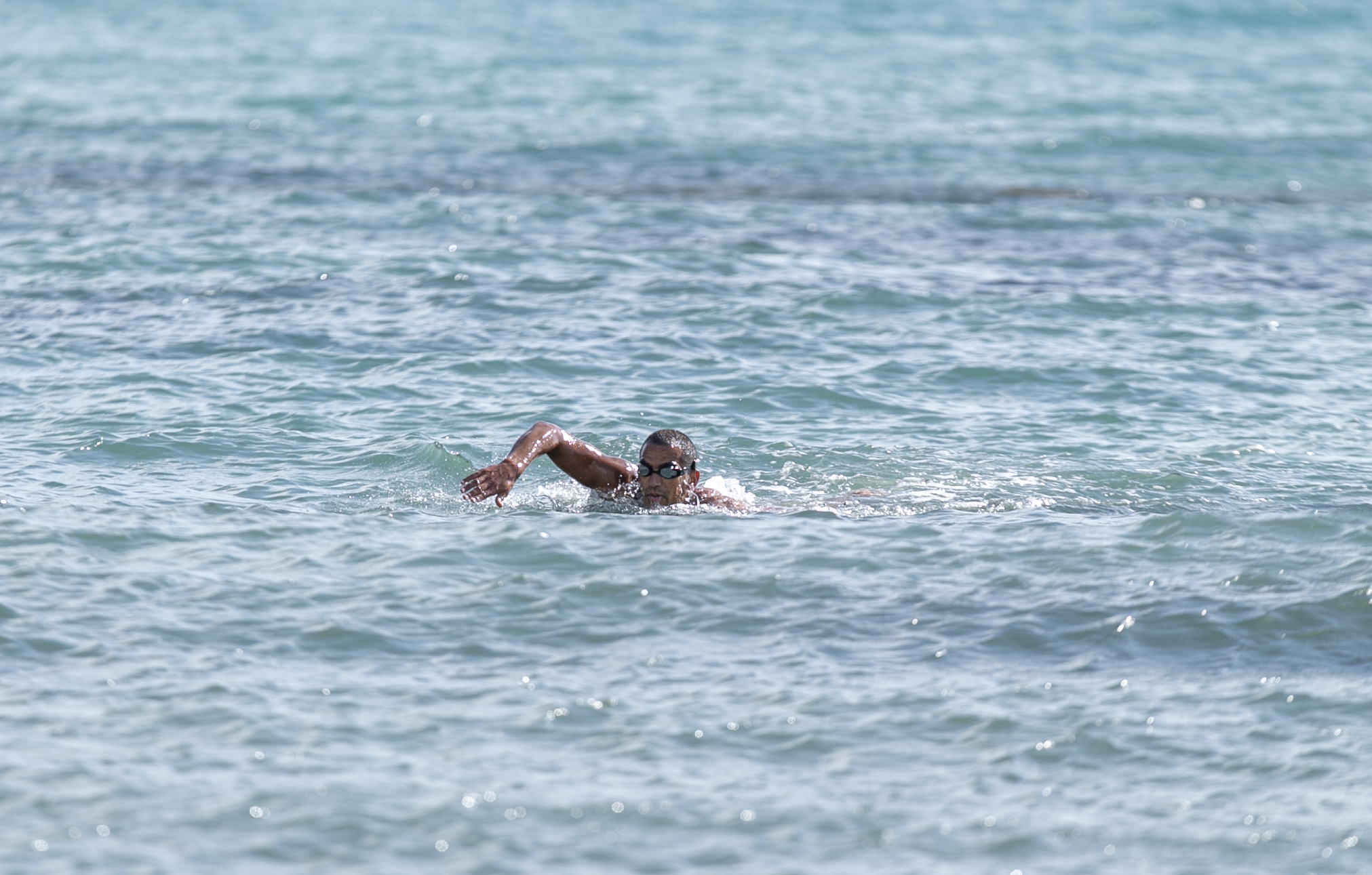 En Tunisie qui dit natation dit Oussema Mellouli, le triple médaillé olympique et quatre fois champion du monde est le quatrième nageur de l'histoire à participer à six Jeux olympiques, le deuxième athlète ayant décroché une médaille d'or olympique de l'histoire de son pays, le sportif tunisien le plus médaillé aux Olympiades.
Le natif de la banlieue de Tunis se vante d'un grand palmarès d'une quinzaine de médailles mondiales dont cinq en or, une quinzaine de médailles méditerranéennes dont dix en or, quinze médailles d'or dans les jeux arabes et huit médailles d'or dans les jeux africains, un vrai collectionneur de médailles en petit et grand bassin, mais pas que, en eau libre aussi. ( Yassine Gaidi - Anadolu Ajansı )